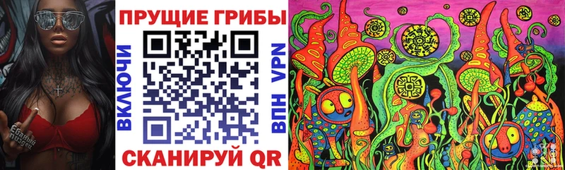 Псилоцибиновые грибы Psilocybe OMG зеркало Качканар