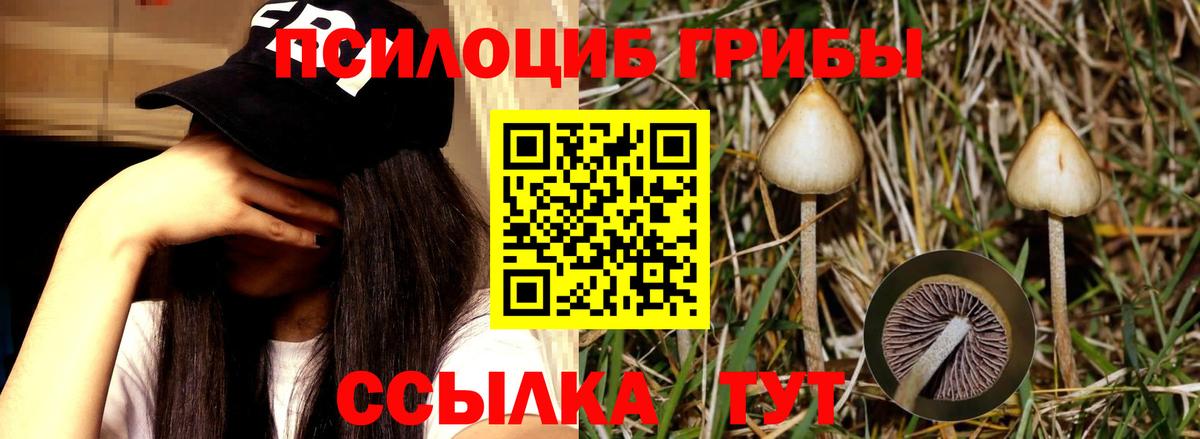 Качканар  Галлюциногенные грибы мицелий  Вход с VPN 